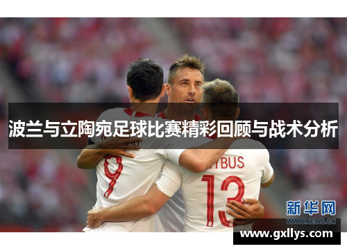 波兰与立陶宛足球比赛精彩回顾与战术分析