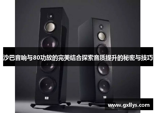 沙巴音响与80功放的完美结合探索音质提升的秘密与技巧
